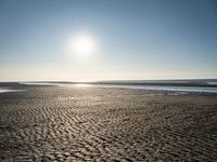 Coastal landscape at dawn in Holland, Netherlands