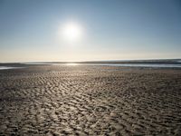 Coastal landscape at dawn in Holland, Netherlands