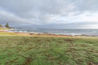 Coastal Landscape at Dawn Over Ocean Beach