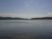 a body of water with trees on both sides and blue sky in the background and sun shining on top of it