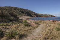 an open dirt path runs to the water near a grassy area near rocks and vegetation