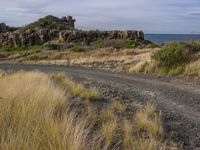 a dirt trail running past some rocks by the ocean and grass on the ground with a bike in front