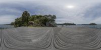 a dock with steps leading to a water way and several trees and shrubs on either side