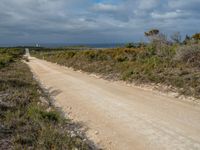 Coastal Landscape in Eden, New South Wales