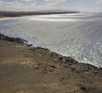 a bird is sitting on the rocks and ocean water behind it, looking down from a cliffside