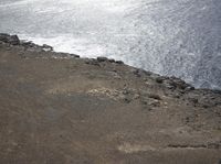 a bird is sitting on the rocks and ocean water behind it, looking down from a cliffside