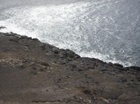 a bird is sitting on the rocks and ocean water behind it, looking down from a cliffside