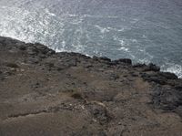 a bird is sitting on the rocks and ocean water behind it, looking down from a cliffside
