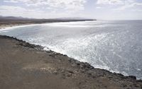 a bird is sitting on the rocks and ocean water behind it, looking down from a cliffside