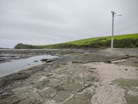 a street light sitting on the sand near a body of water on the shore in a grassy field