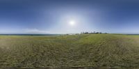 360 camera view of grass on a hill overlooking the water, with large building in distance