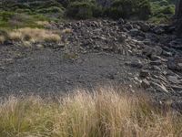 the area where the grass is growing has many stones on it and there is no one on the hill