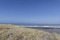 the beach has yellow grasses growing in the sand and a blue sky above it with a wave breaking towards a black sandy beach