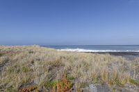 a grassy, grassy hill by the beach next to a blue ocean under a clear sky