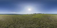 360 camera view of grass on a hill overlooking the water, with large building in distance