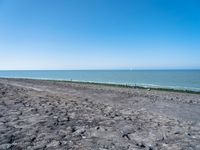 Scenic Coastal Landscape in Holland, Netherlands