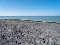 Scenic Coastal Landscape in Holland, Netherlands