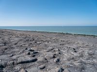 Scenic Coastal Landscape in Holland, Netherlands