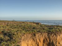 a grassy field by the shore and a cliff with rocks in the ocean in the background