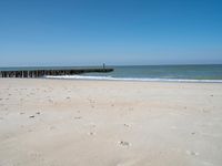 Coastal Landscape in Holland, Netherlands