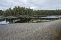 a gravel path beside a lake and pine trees under a gray sky with clouds overhead