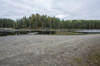 a gravel path beside a lake and pine trees under a gray sky with clouds overhead