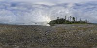 a view of the beach at low tide with rocks, trees and a sky background