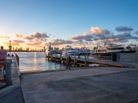 Coastal Landscape Miami Florida at Dawn