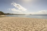 a sandy beach under blue skies next to the ocean and a tree line line with several boats