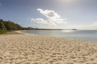 a sandy beach under blue skies next to the ocean and a tree line line with several boats