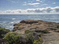 Coastal Landscape in New South Wales, Australia