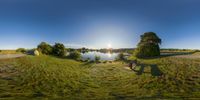 a pond is surrounded by grass and trees in the sun on a sunny day with a bench