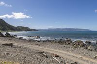 Coastal Landscape in North Island, New Zealand 001