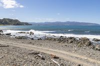 Coastal Landscape in North Island, New Zealand 002