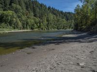 the shore at the bottom of a dirt area with water and forest around it that has rocks on it