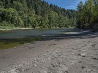 the shore at the bottom of a dirt area with water and forest around it that has rocks on it