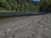 the shore at the bottom of a dirt area with water and forest around it that has rocks on it