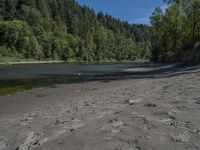 the shore at the bottom of a dirt area with water and forest around it that has rocks on it