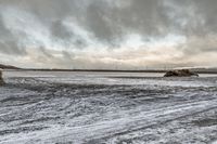 Coastal Landscape: Ocean, Beach, and Winter