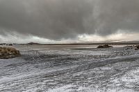 Coastal Landscape: Ocean, Beach, and Winter