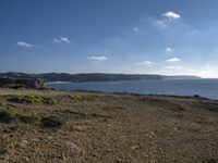 an animal is standing near the ocean by itself in a dry grass field at the edge