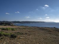 an animal is standing near the ocean by itself in a dry grass field at the edge