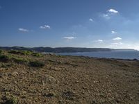 an animal is standing near the ocean by itself in a dry grass field at the edge