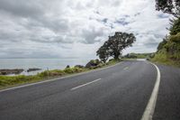 Coastal Landscape: Ocean Road in the Heart of Nature