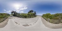 a fisheye photo of the view of a mountain road with some steps and trees