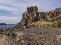 Coastal Landscape: A View of the Ocean and Water