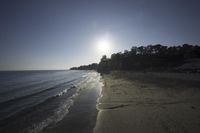 Coastal Landscape of California: A Nature's Haven