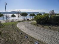 the walkway has been paved with brick pavers and birds all around it, and a beautiful ocean view