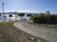 the walkway has been paved with brick pavers and birds all around it, and a beautiful ocean view