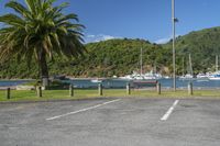 Coastal Landscape in Picton, New Zealand